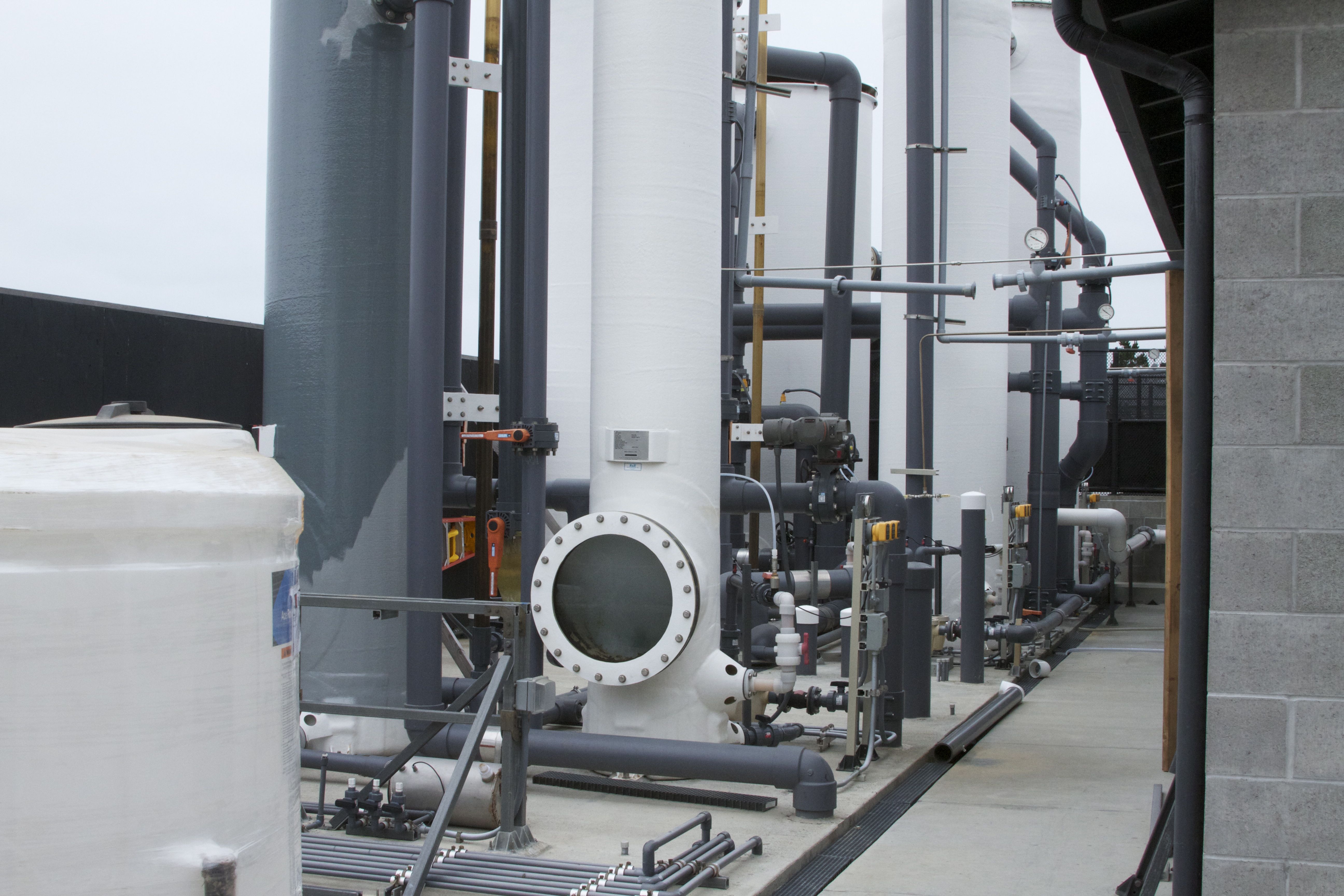 Marine Mammal Center