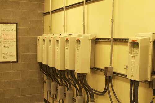 Marine Mammal Center