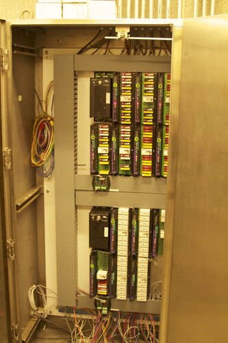 Marine Mammal Center Brain