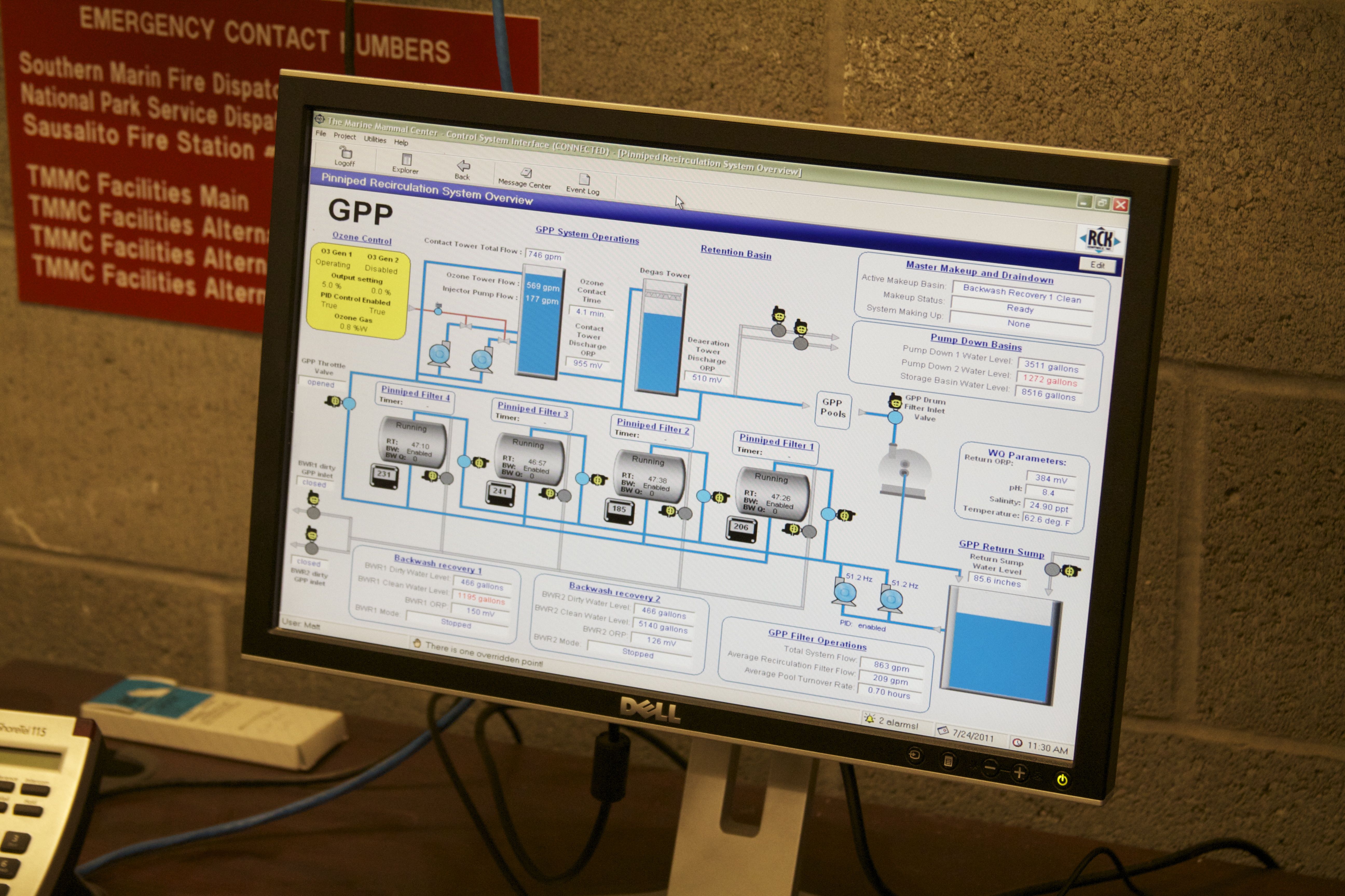 Marine Mammal Center