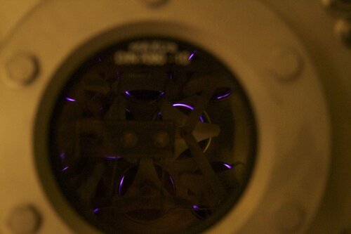 Marine Mammal Center