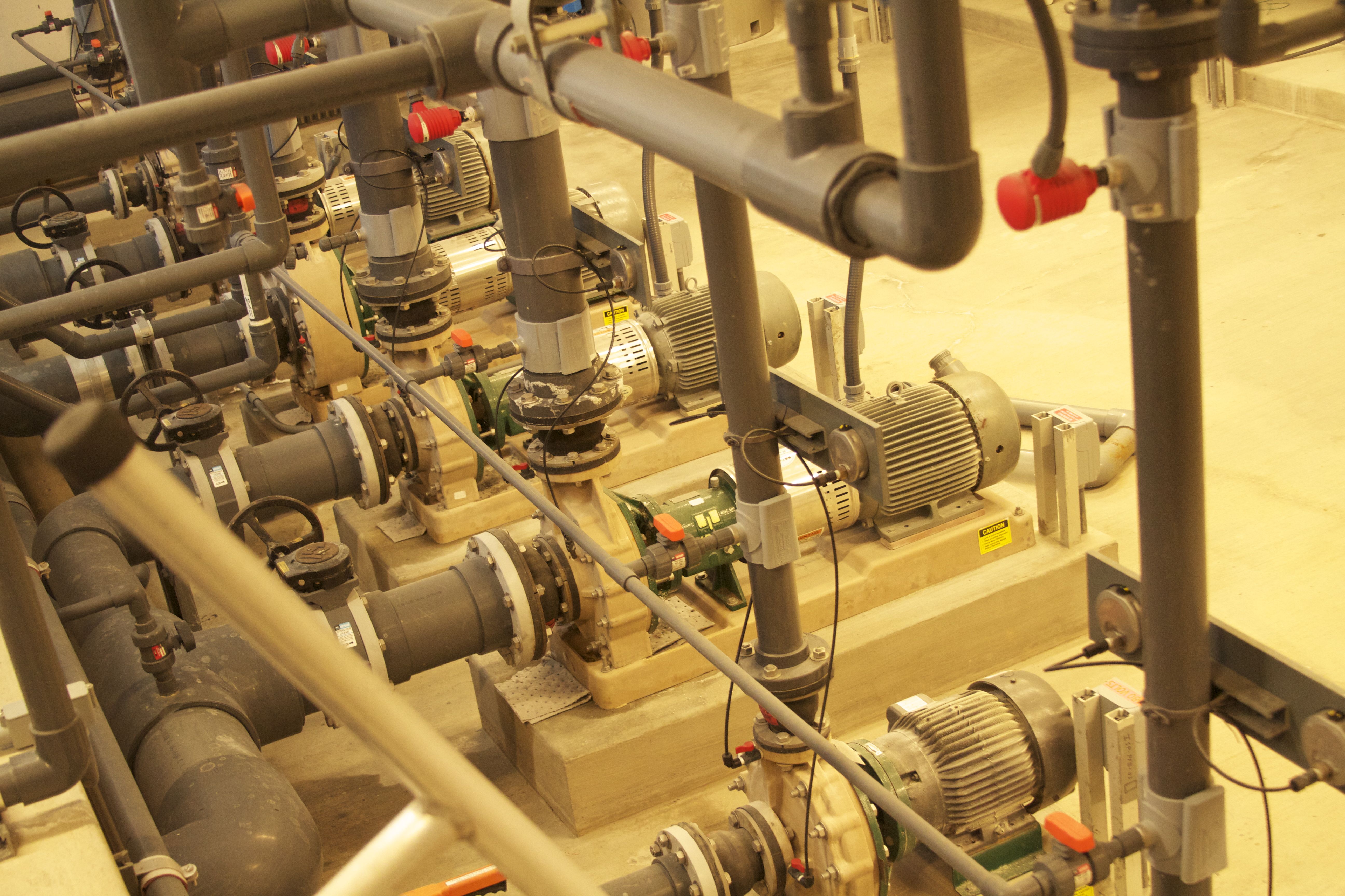 Marine Mammal Center