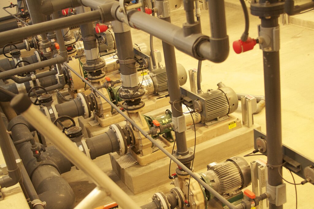 Marine Mammal Center