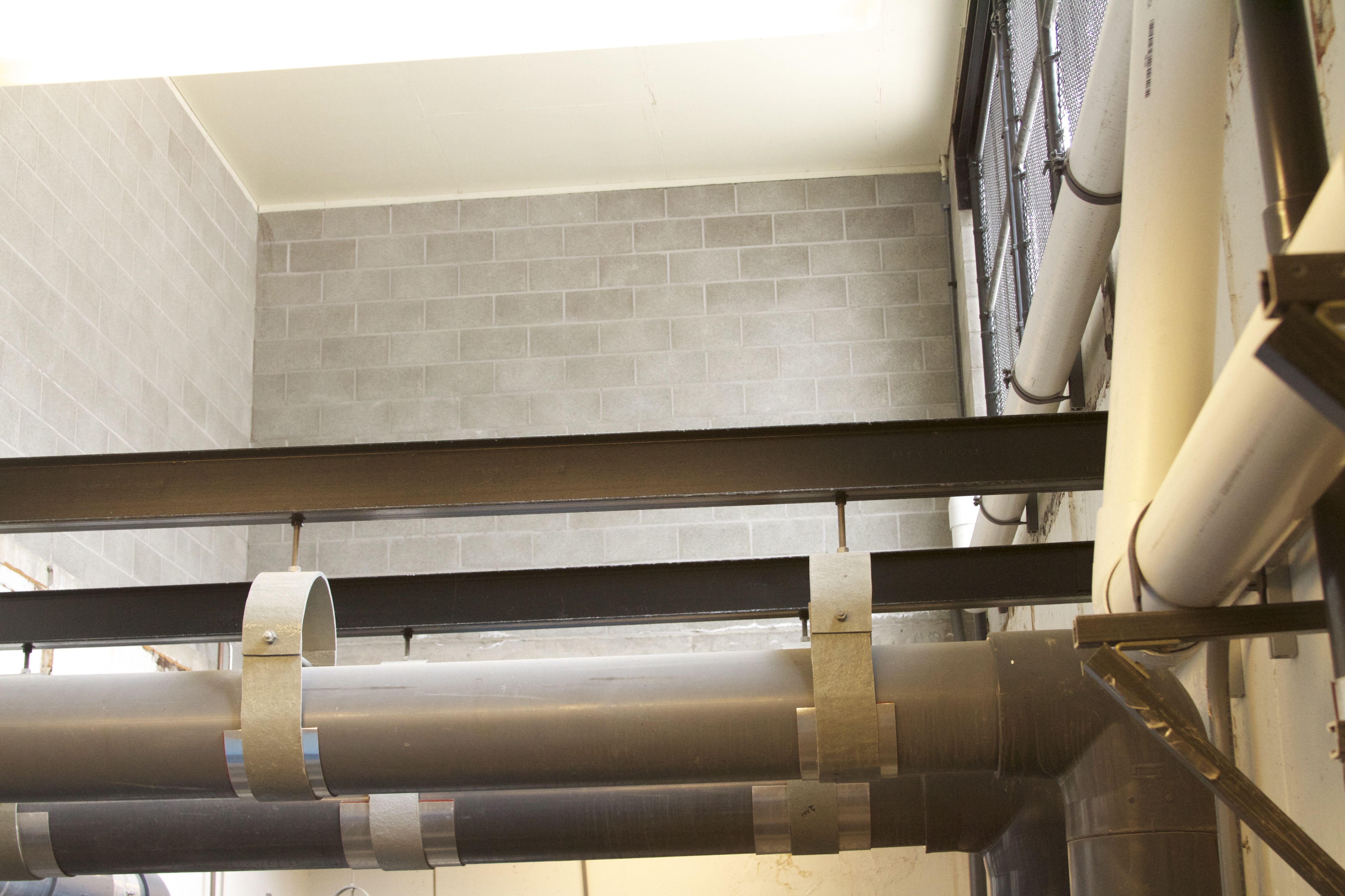 Marine Mammal Center