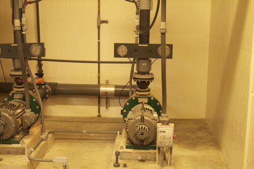 Marine Mammal Center