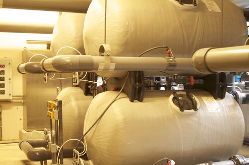 Marine Mammal Center