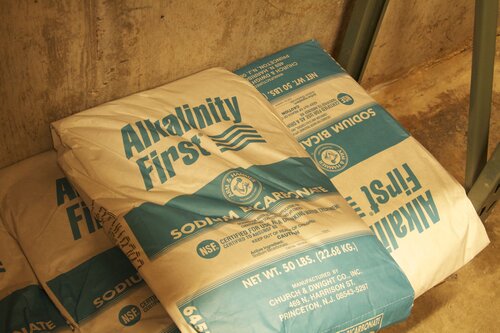 Marine Mammal Center