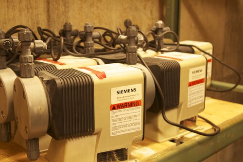 Marine Mammal Center