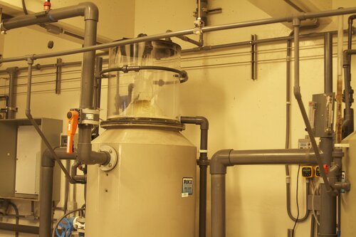 Marine Mammal Center