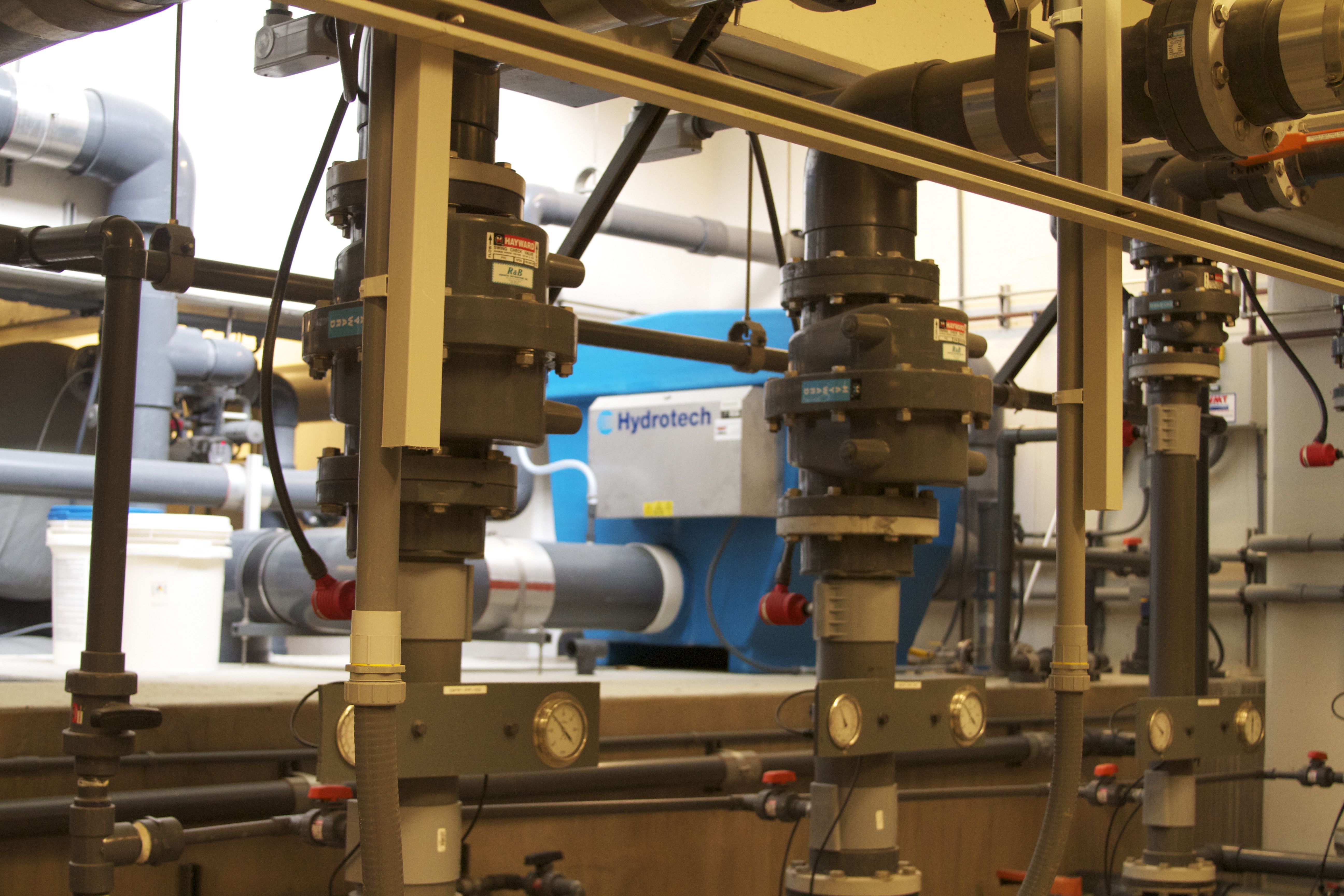 Marine Mammal Center