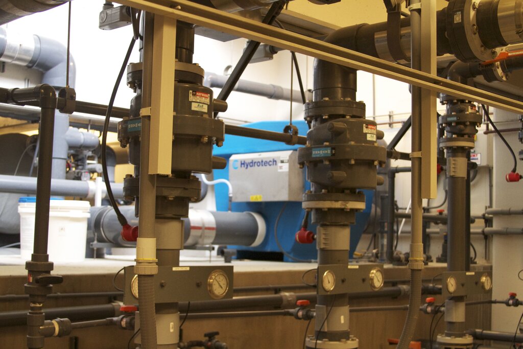 Marine Mammal Center