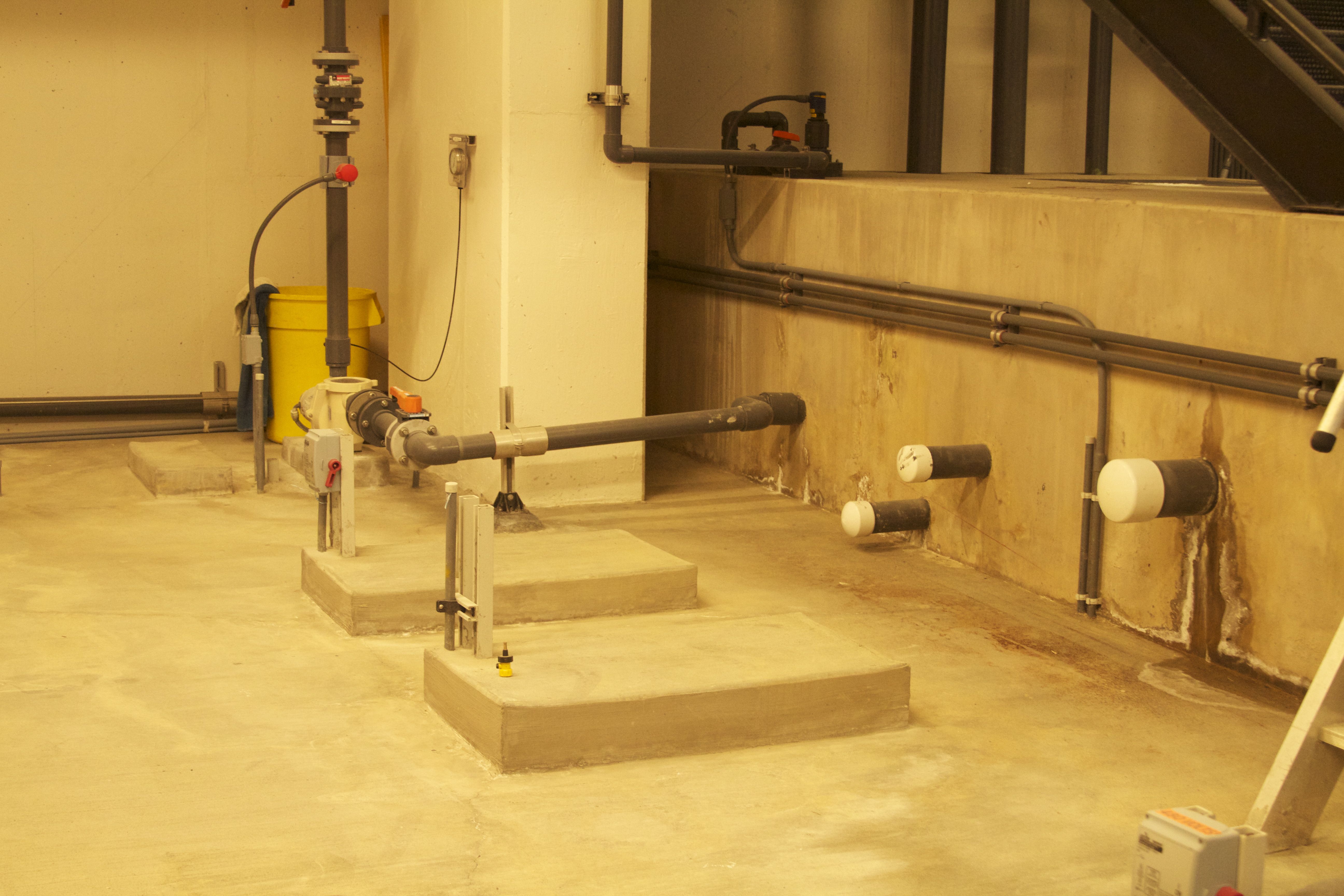 Marine Mammal Center