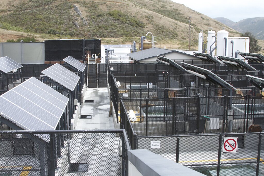 Marine Mammal Center