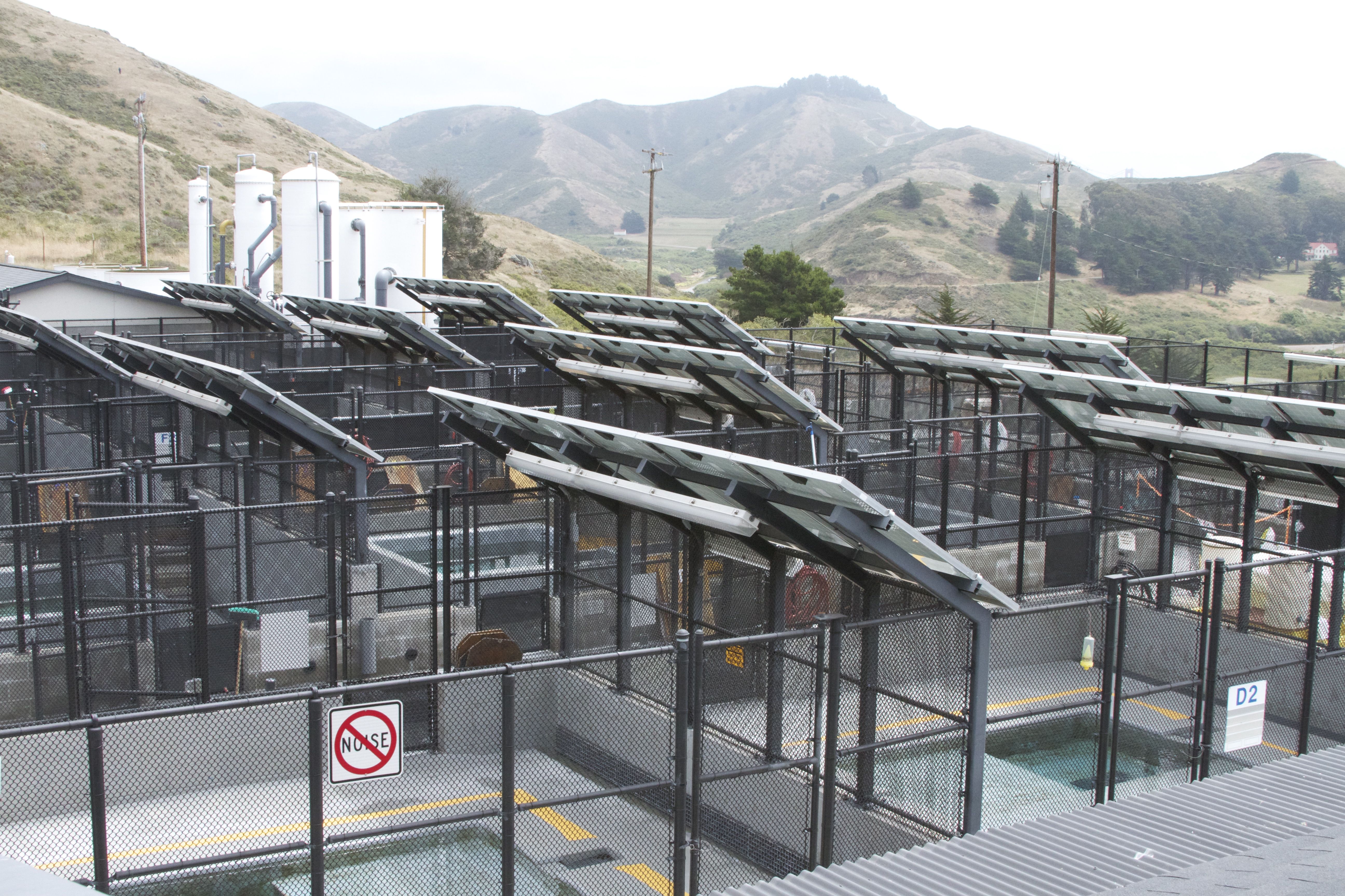 Marine Mammal Center