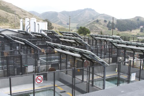 Marine Mammal Center