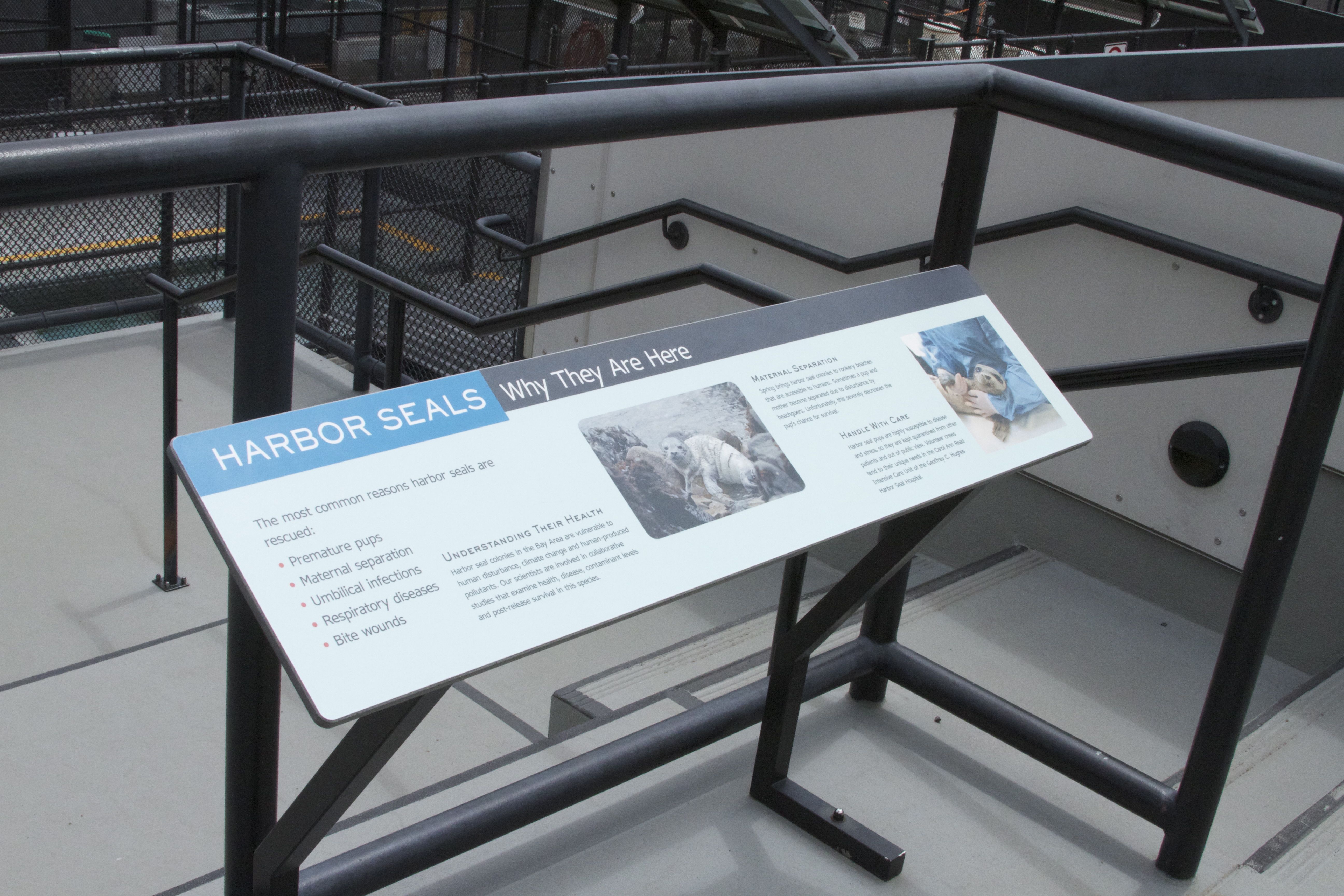 Marine Mammal Center