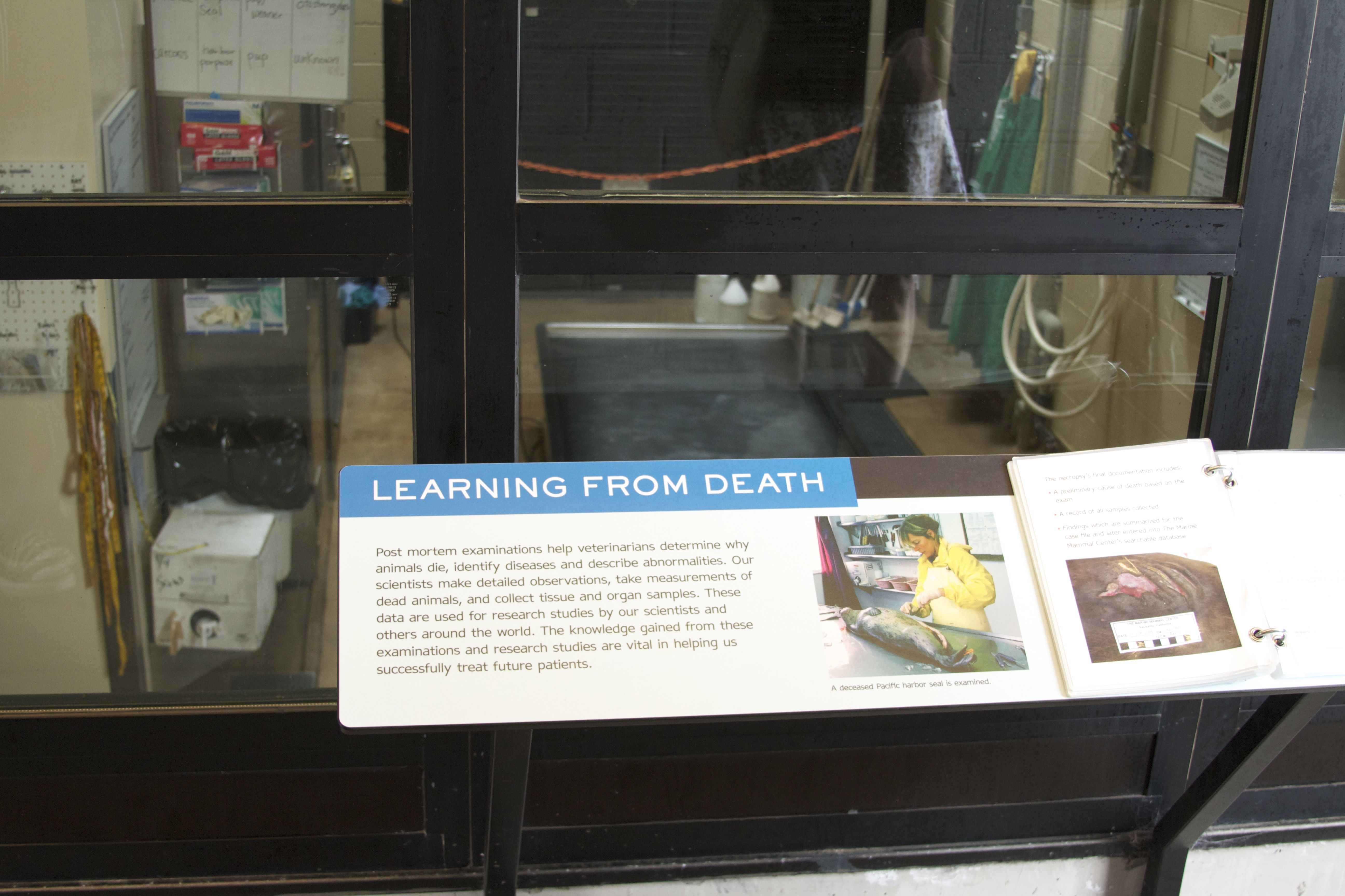 Marine Mammal Center