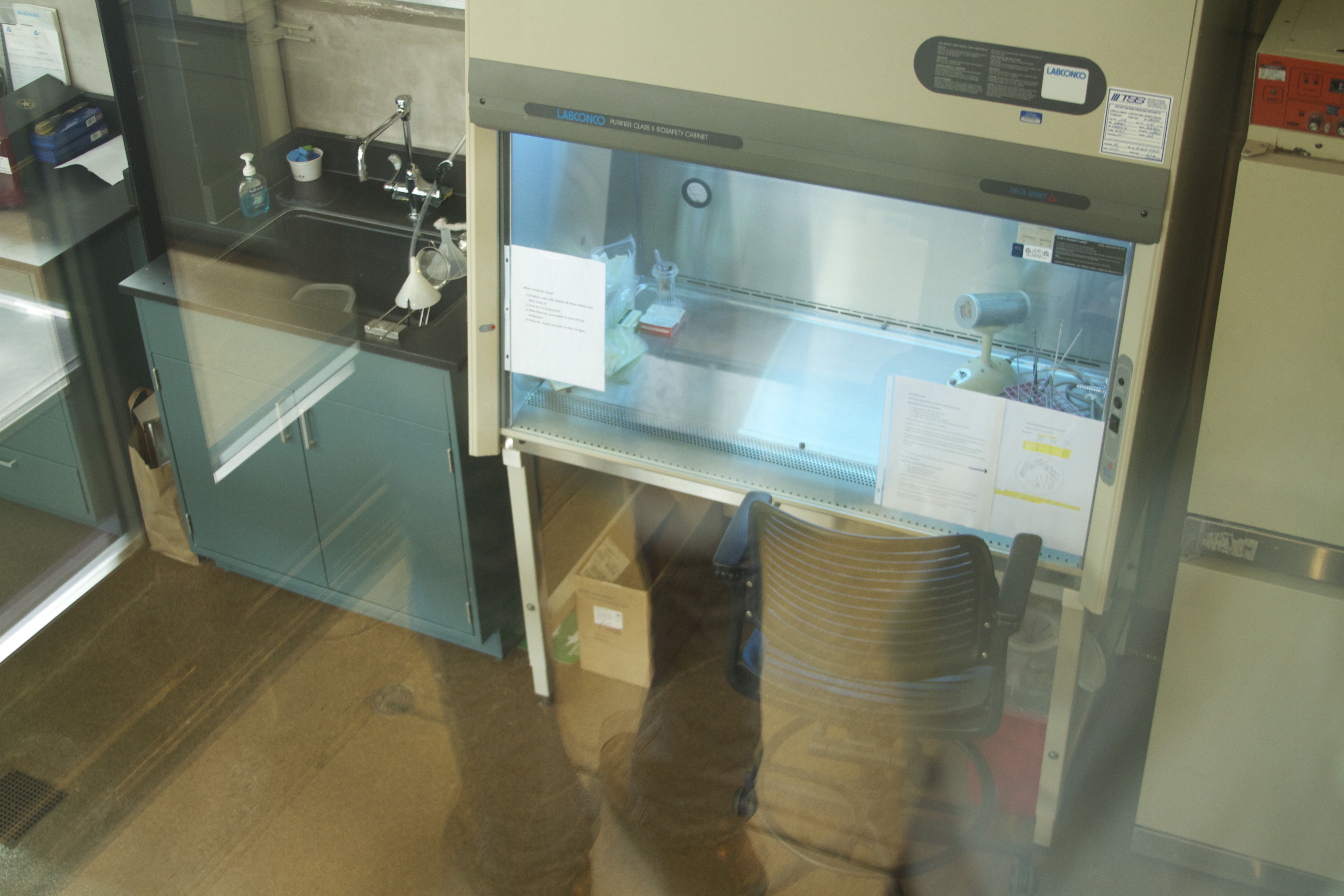 Marine Mammal Center