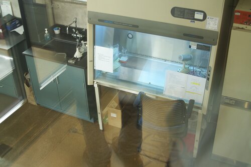 Marine Mammal Center