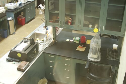 Marine Mammal Center Lab