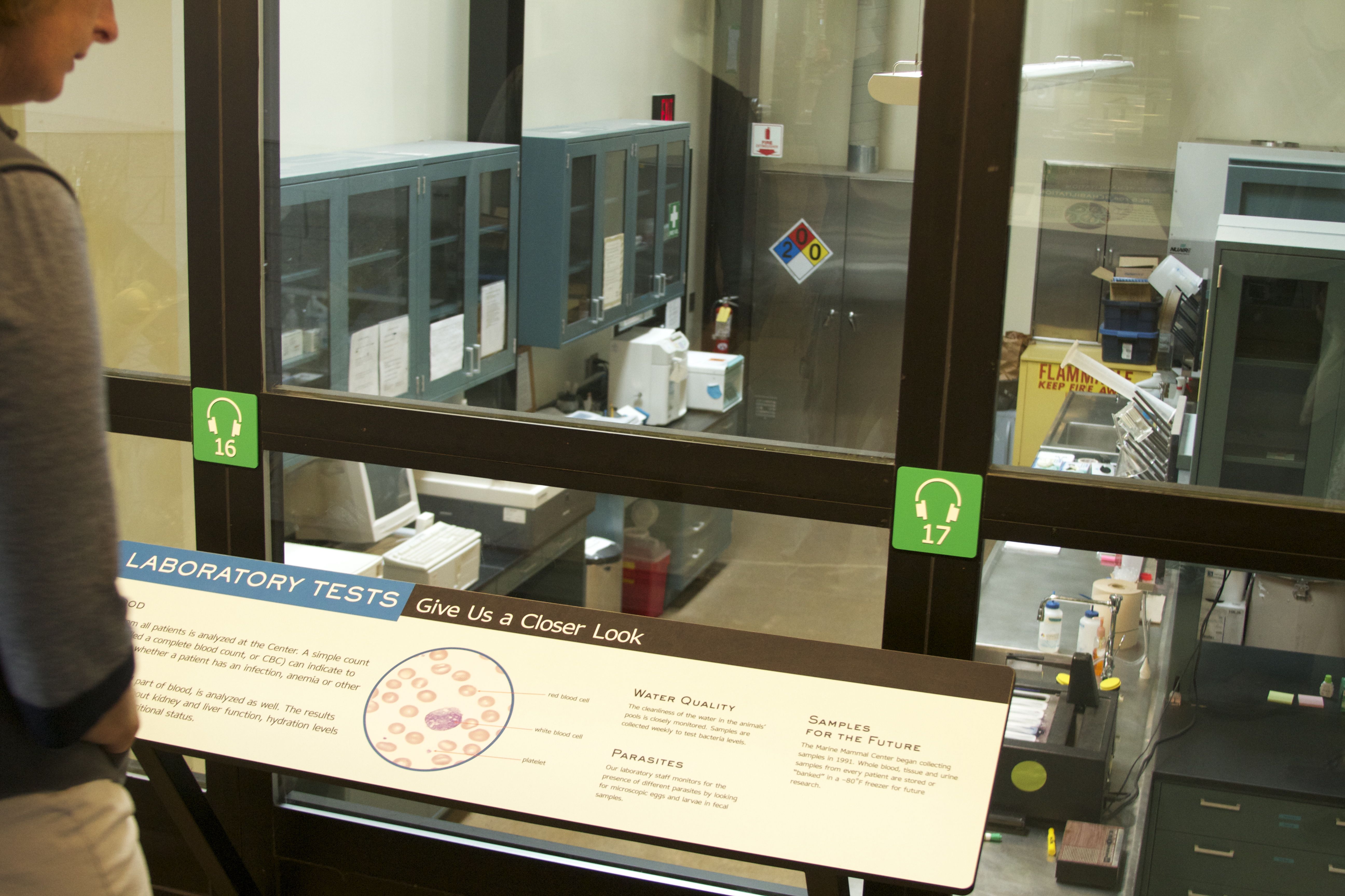 Marine Mammal Center