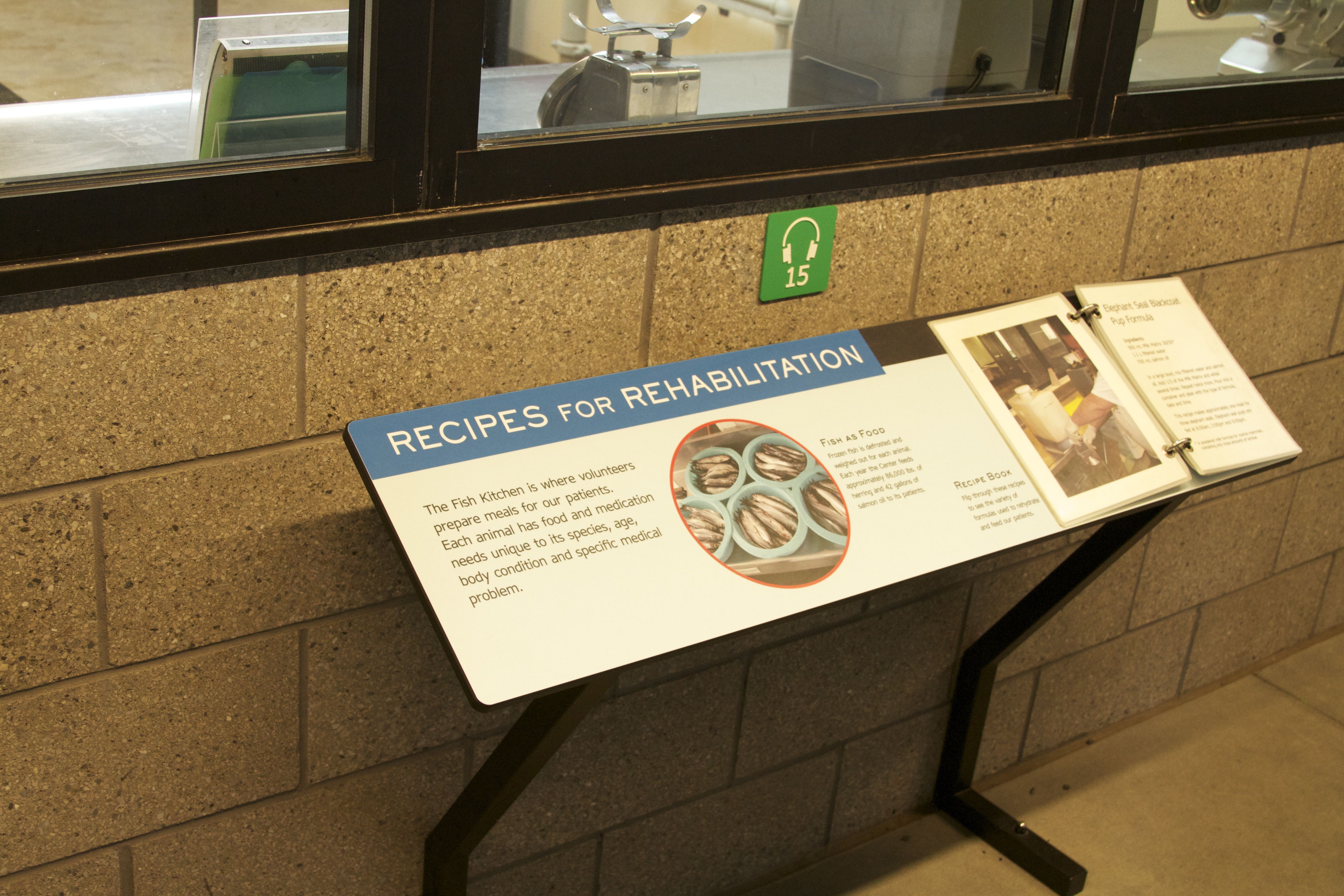 Marine Mammal Center Kitchen