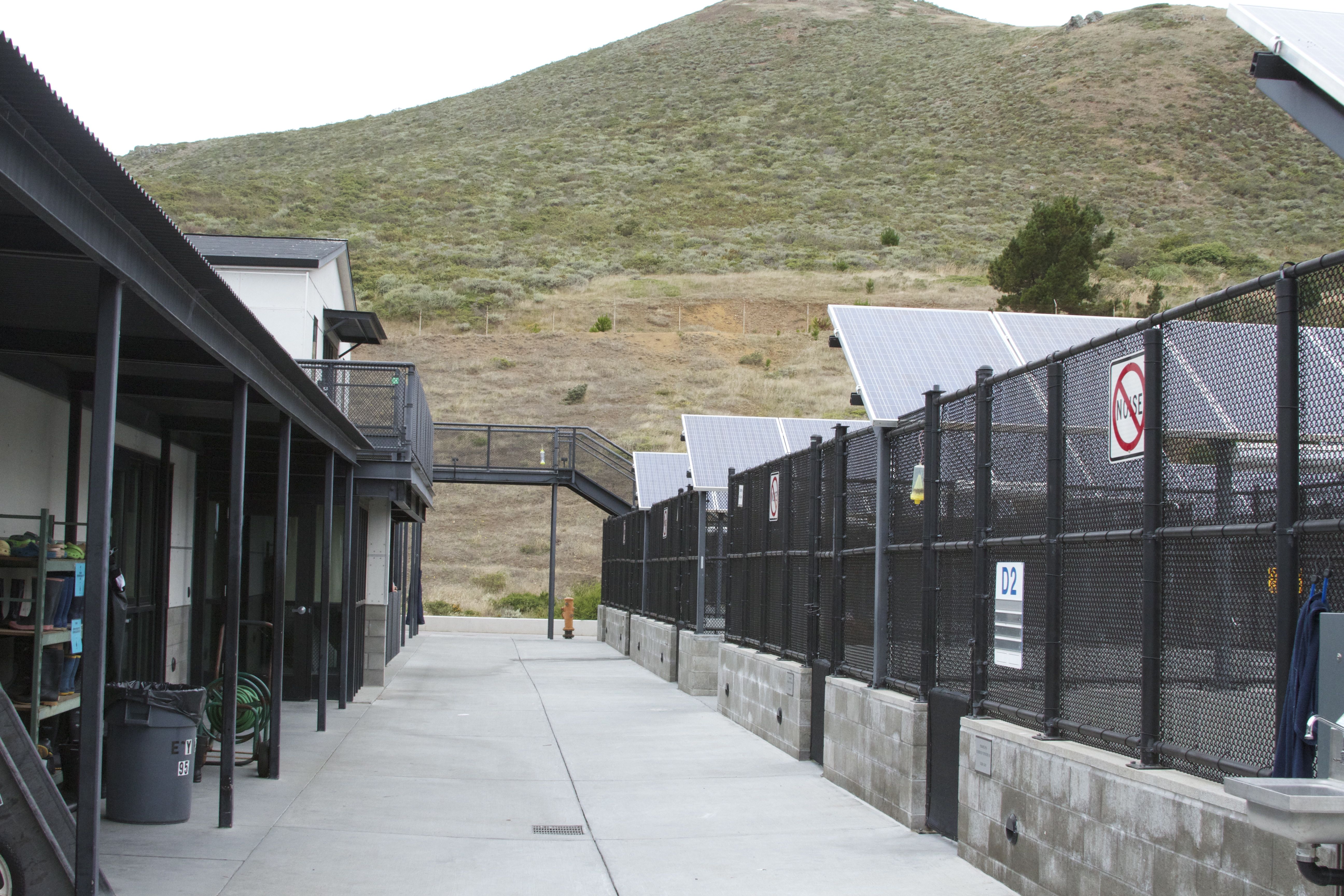 Marine Mammal Center