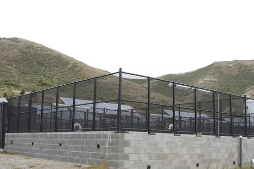 Marine Mammal Center