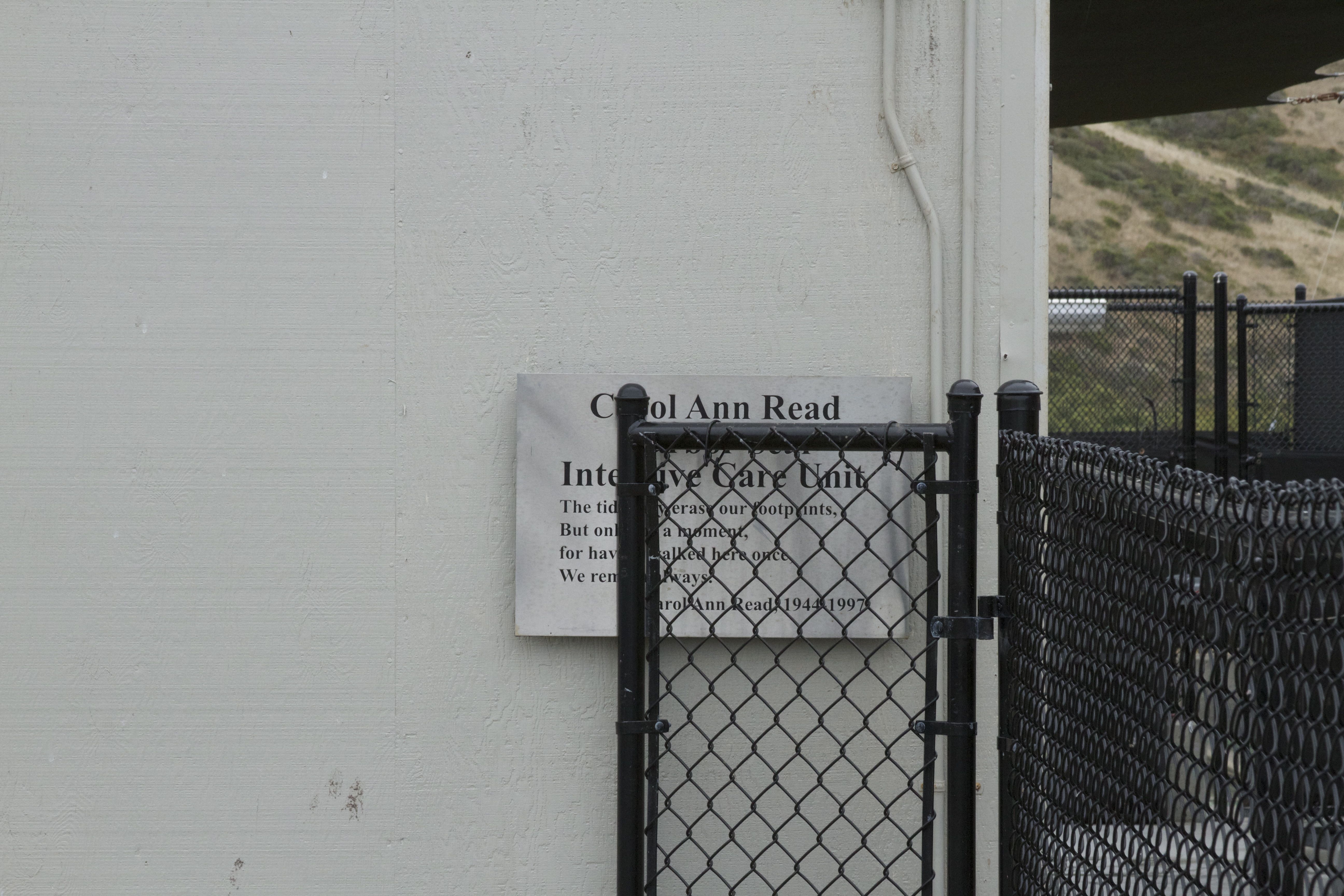 Marine Mammal Center