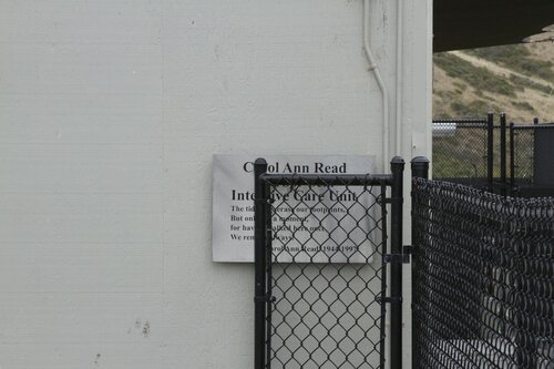 Marine Mammal Center