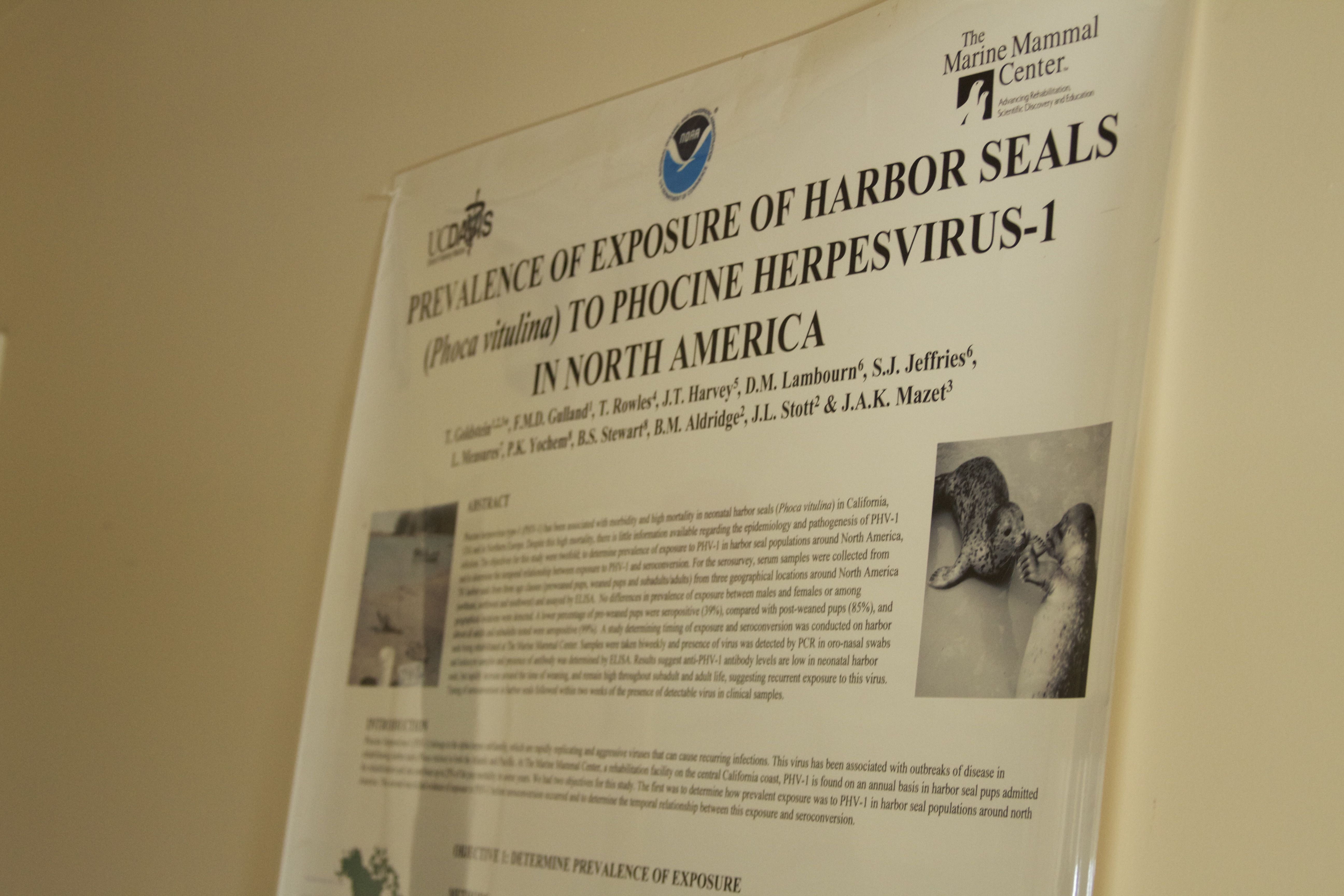 Marine Mammal Center