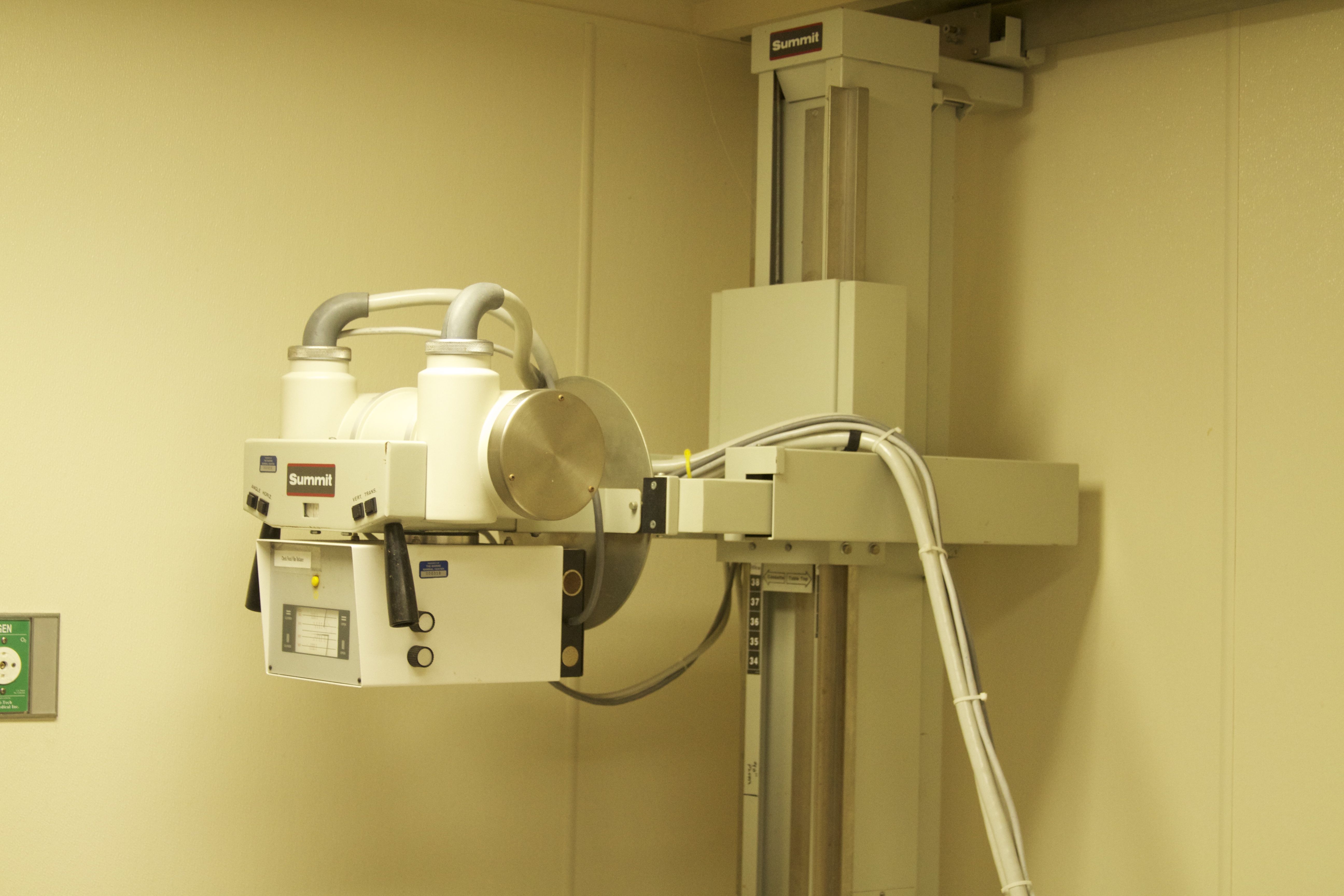 Marine Mammal Center X-Ray