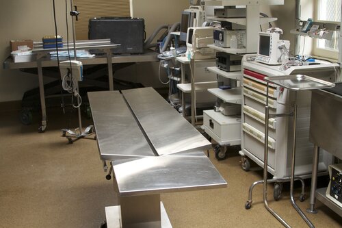 Marine Mammal Center Surgery