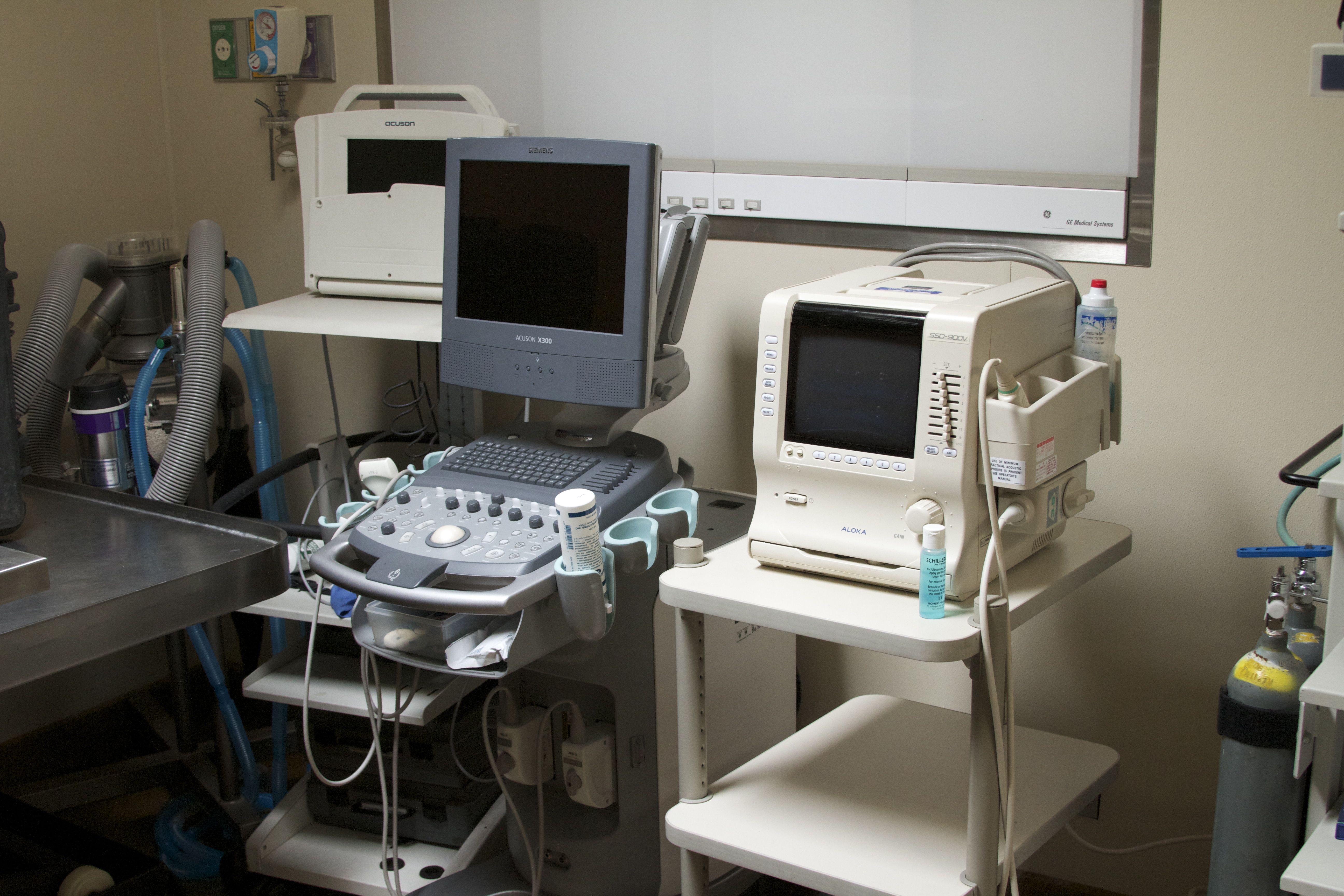 Marine Mammal Center Surgery