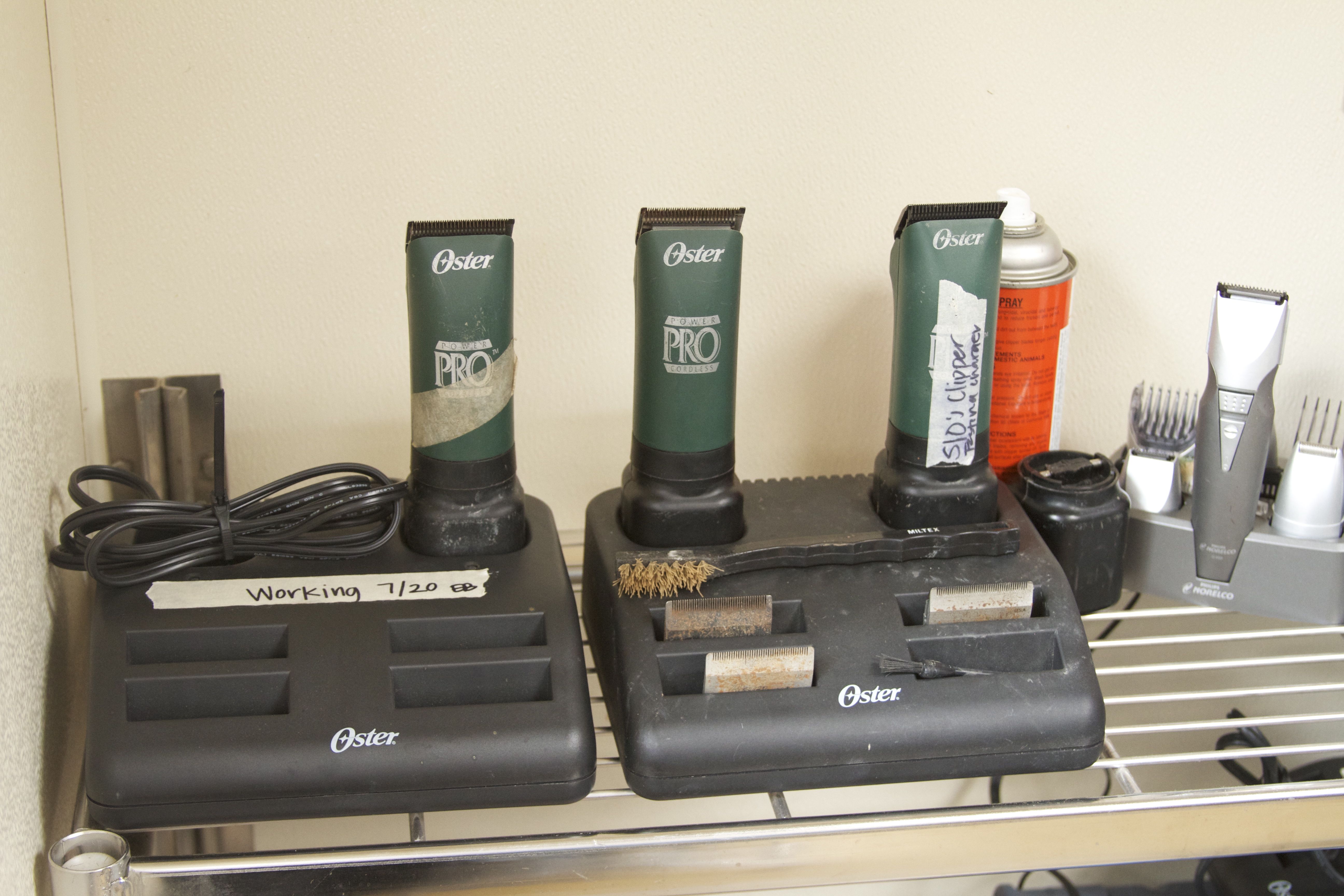 Marine Mammal Center