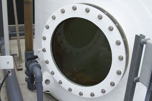 Marine Mammal Center