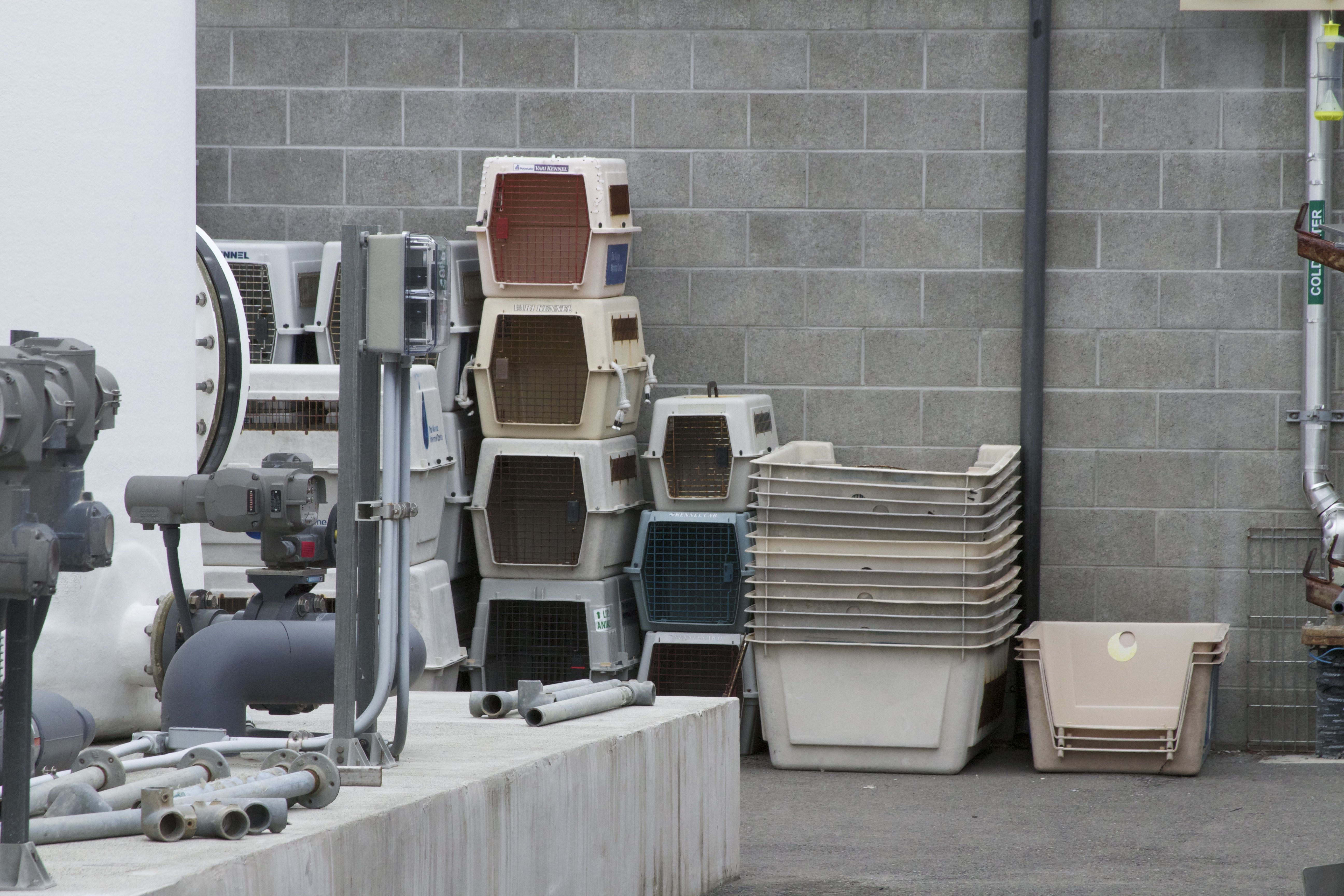 Marine Mammal Center Crates