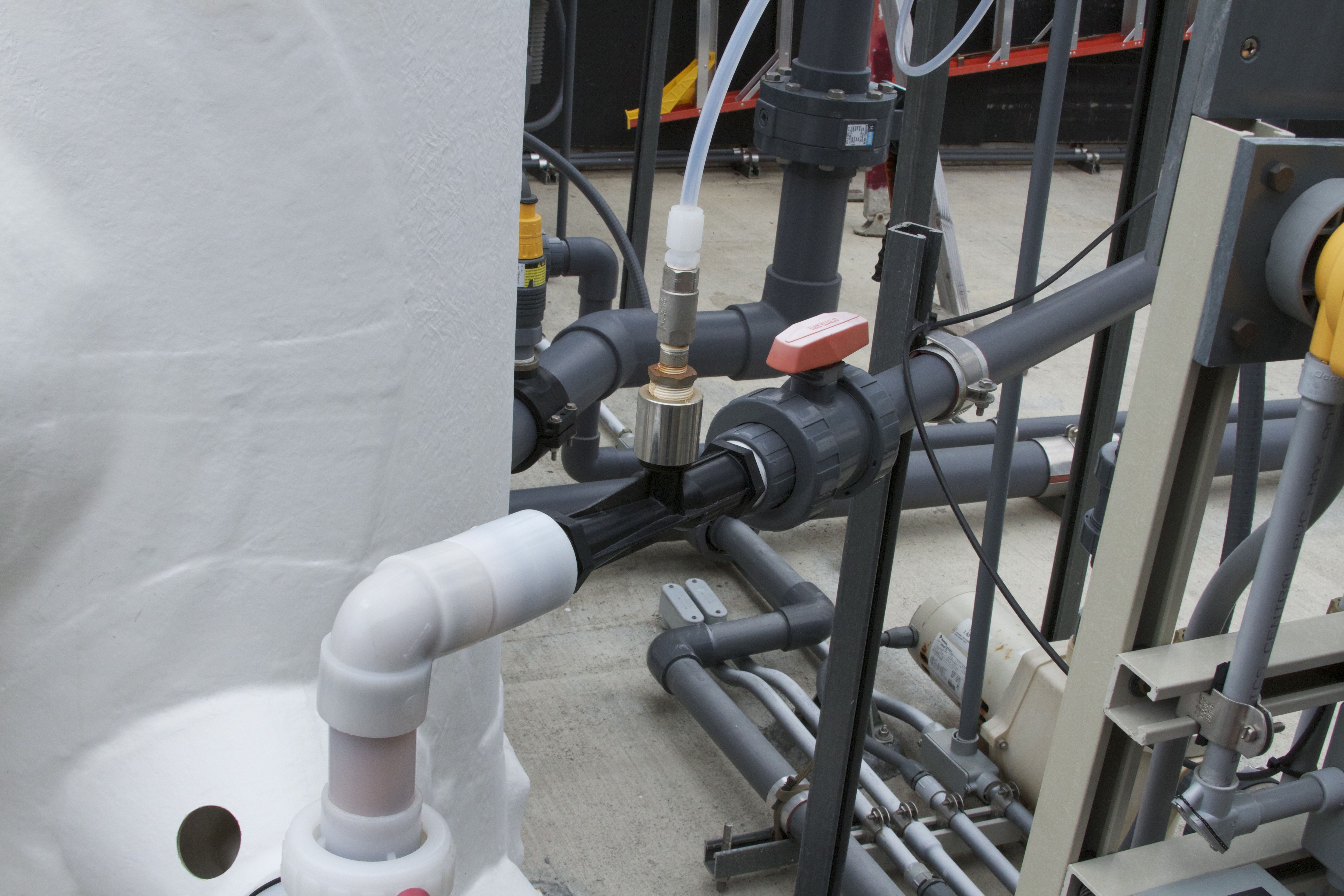 Marine Mammal Center