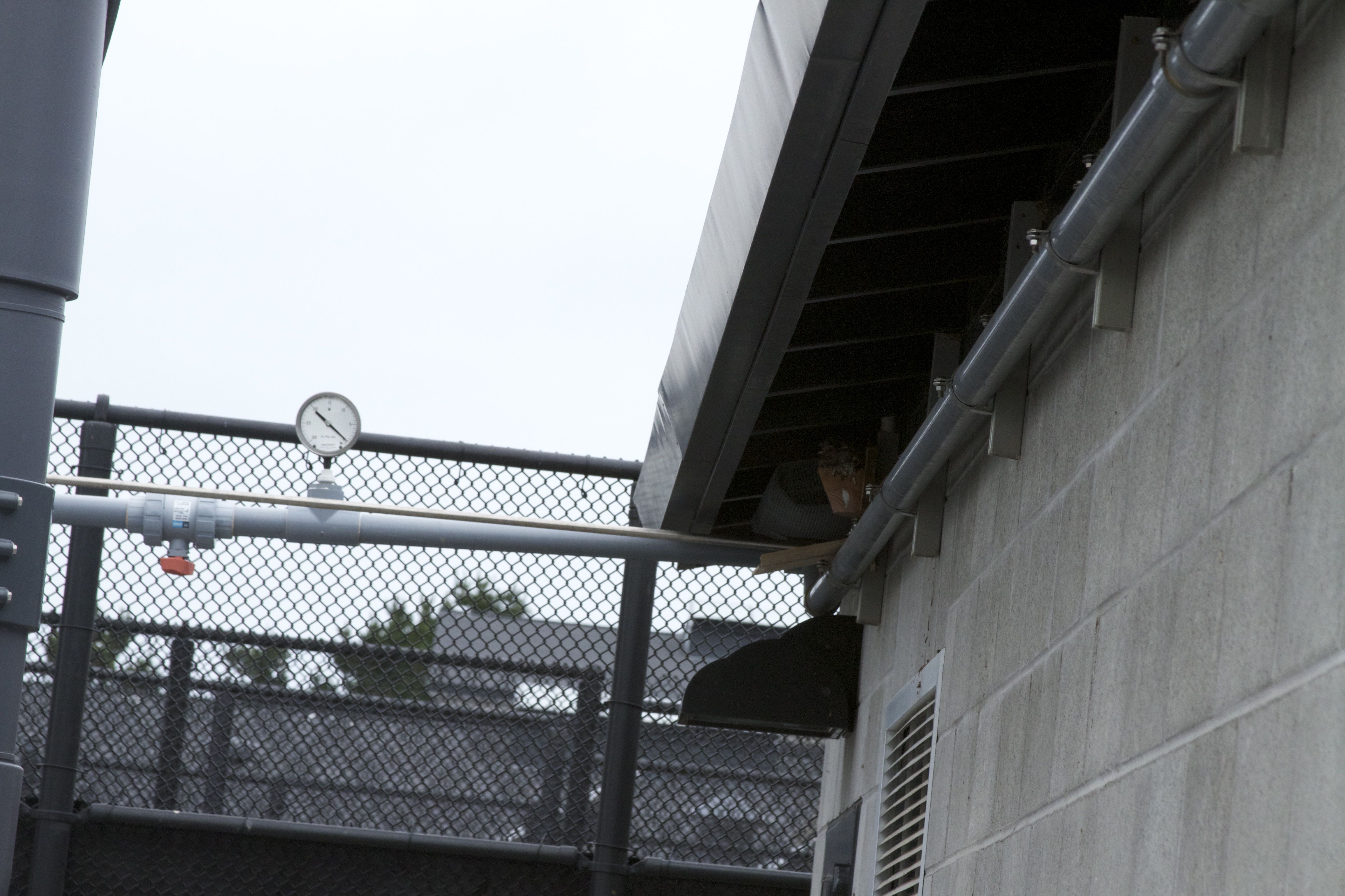 Marine Mammal Center