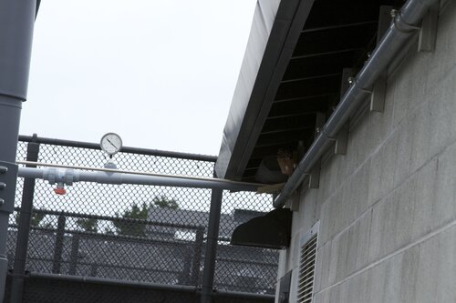 Marine Mammal Center