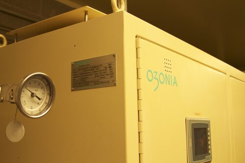 Marine Mammal Center Ozonia