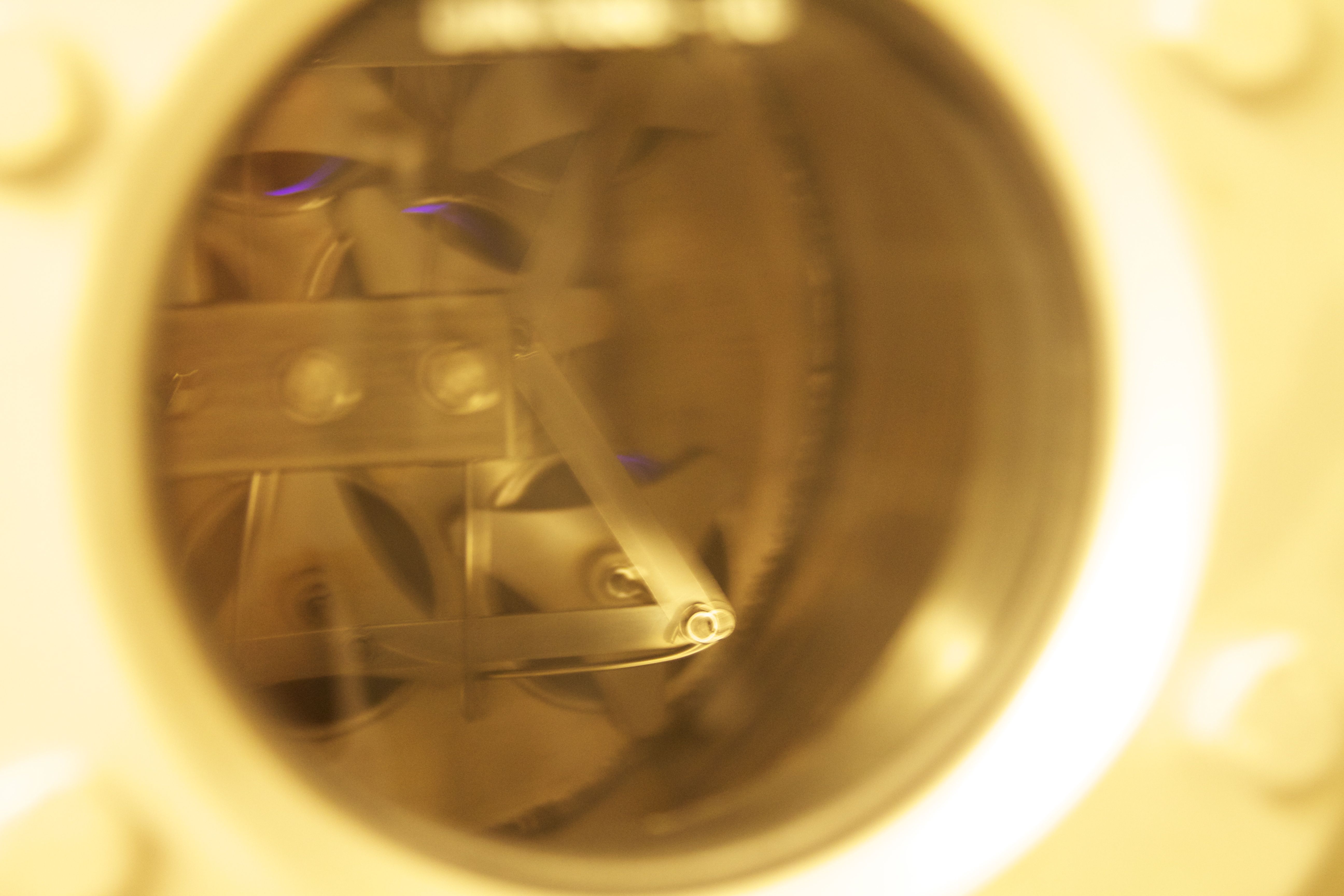 Marine Mammal Center