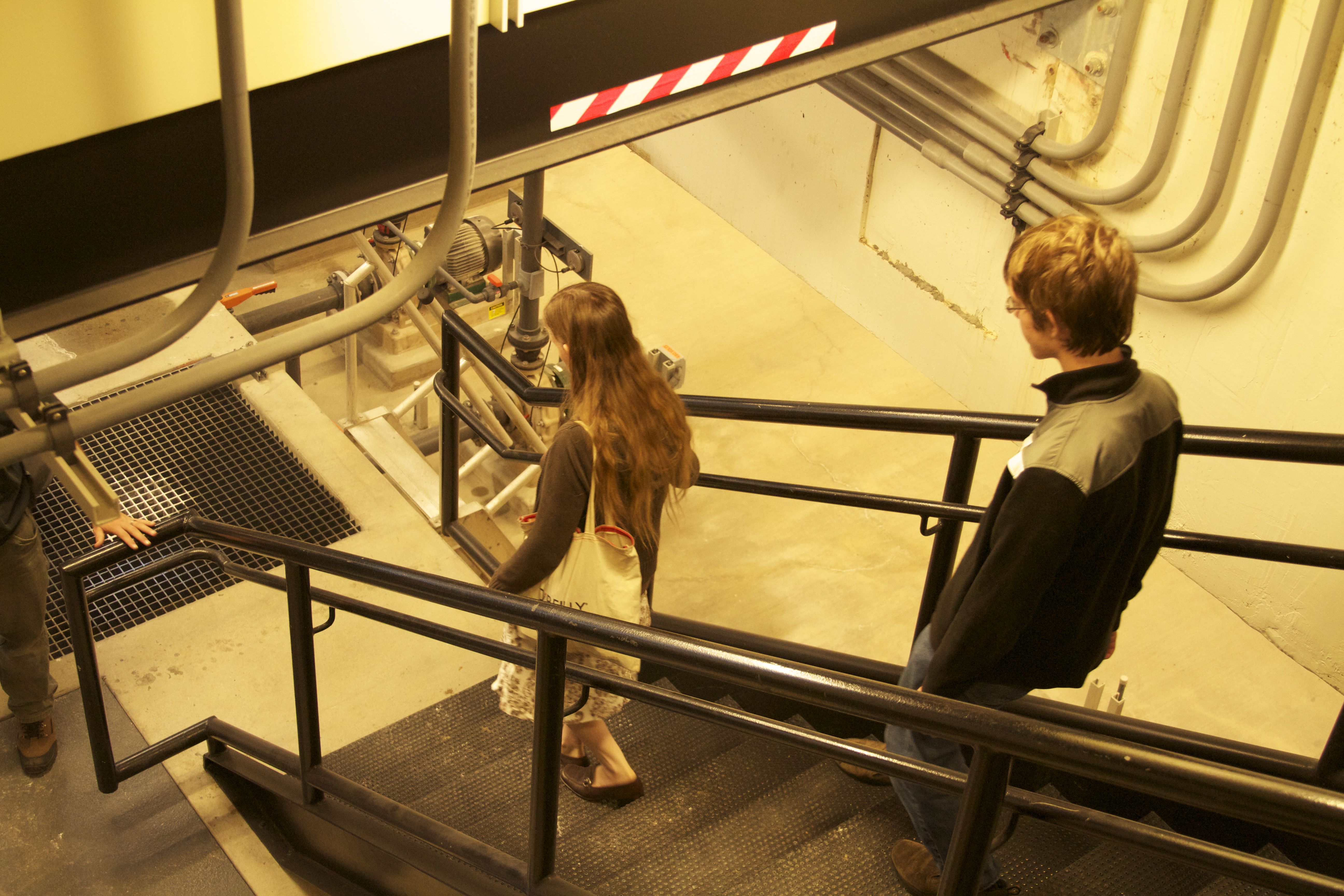 Marine Mammal Center