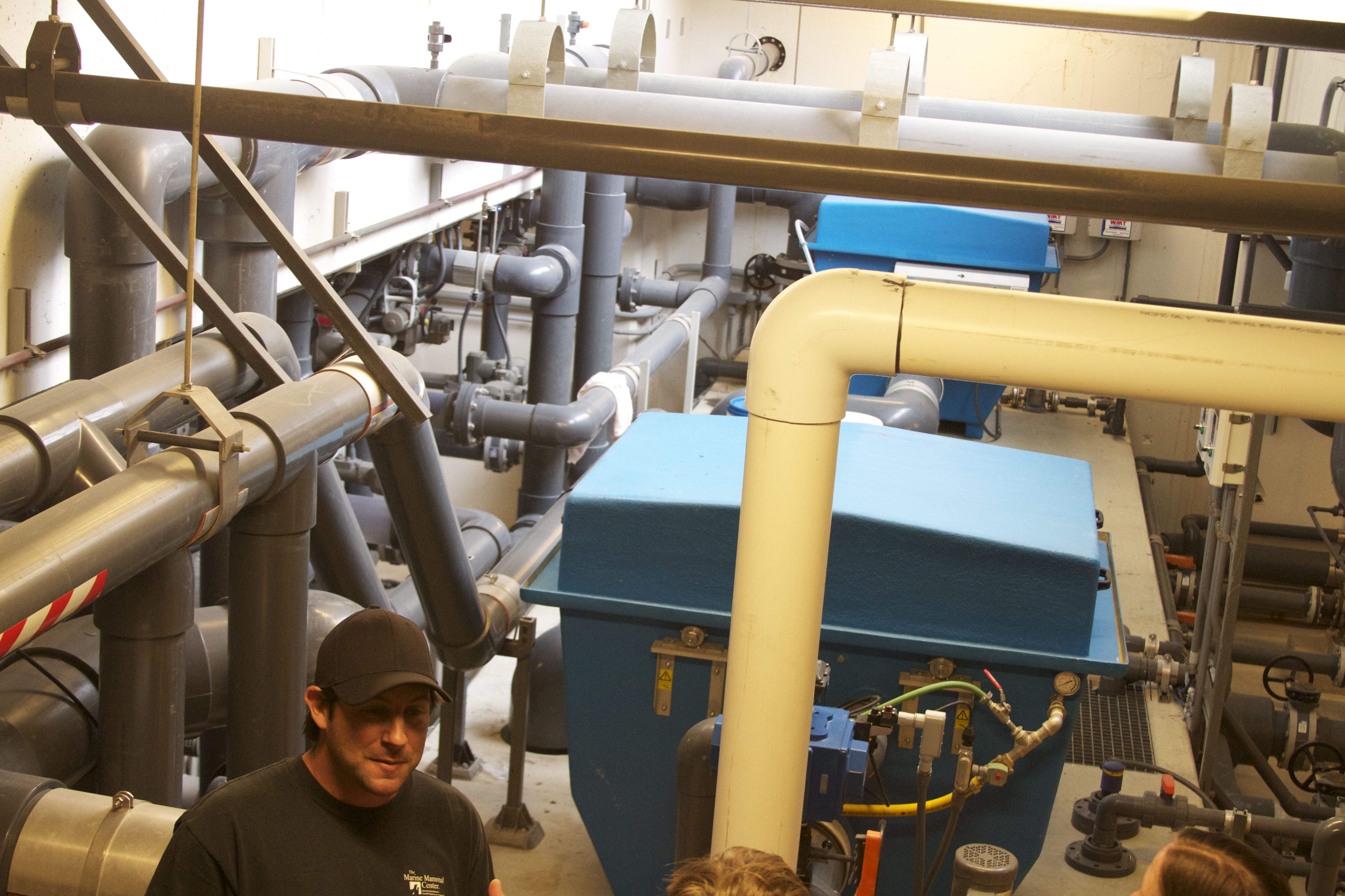 Marine Mammal Center