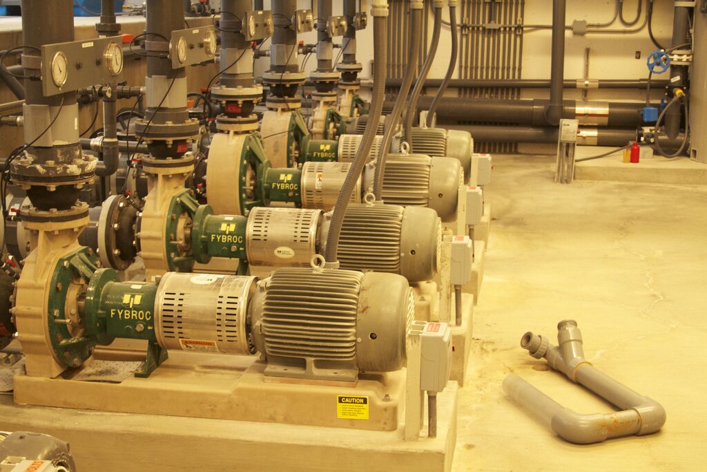 Marine Mammal Center