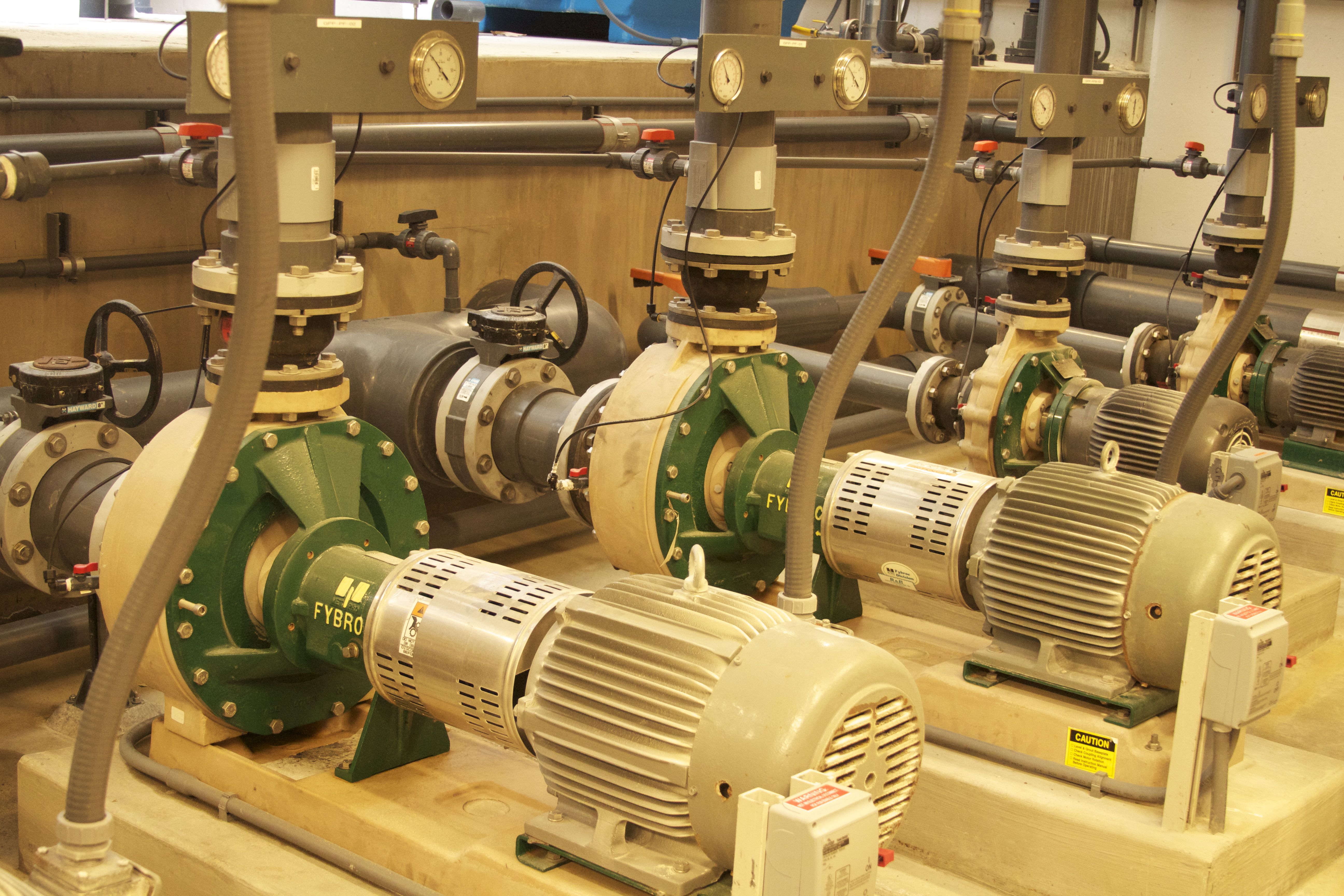 Marine Mammal Center