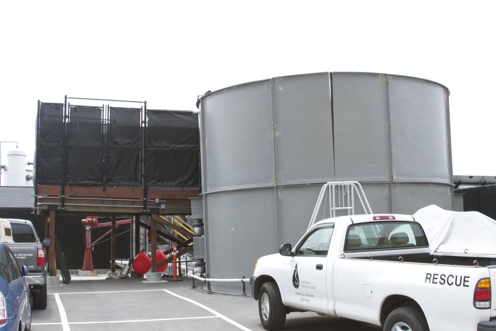 Marine Mammal Center