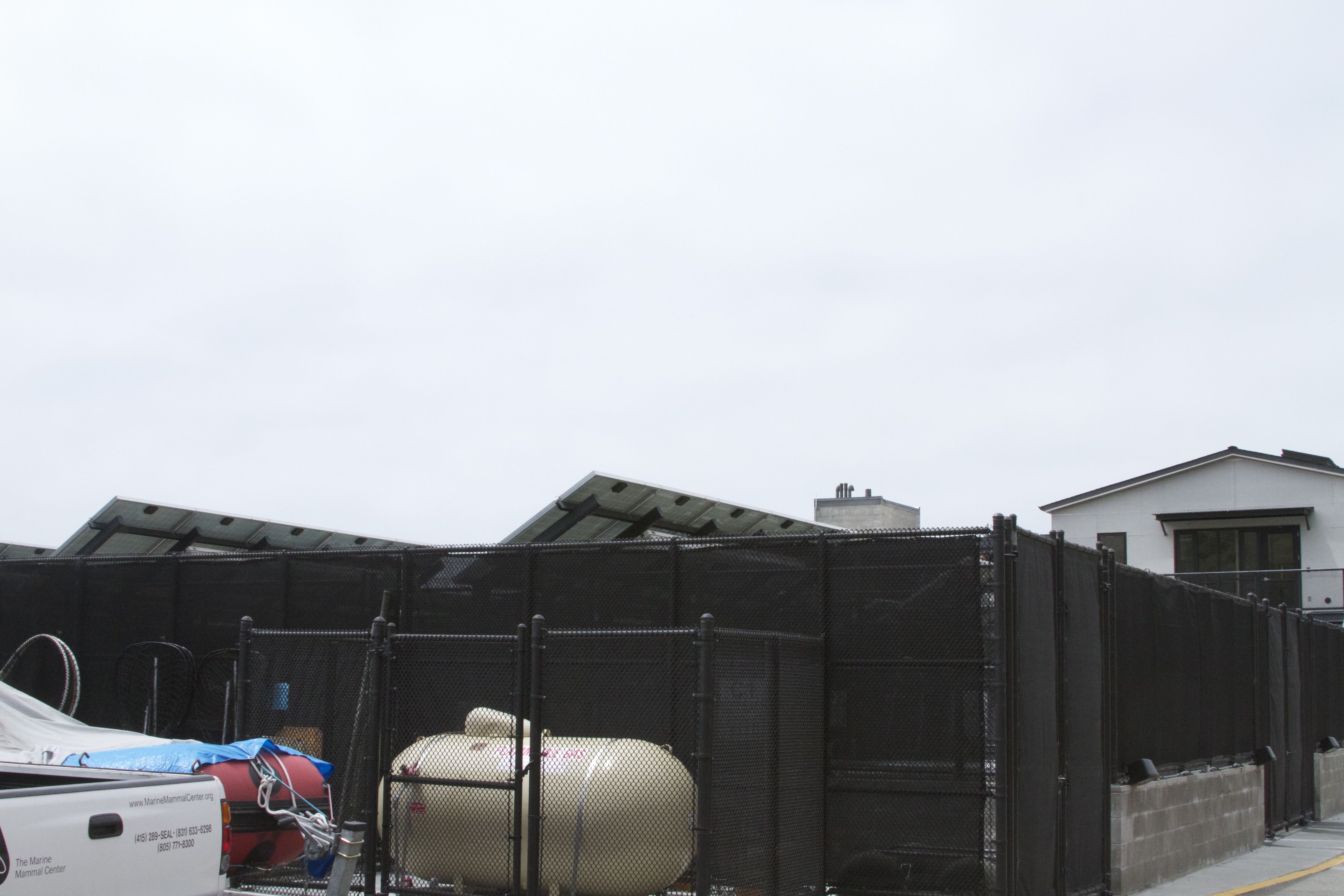 Marine Mammal Center