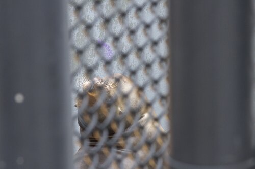 Marine Mammal Center