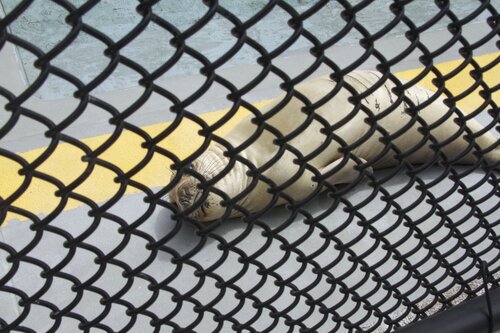 Marine Mammal Center